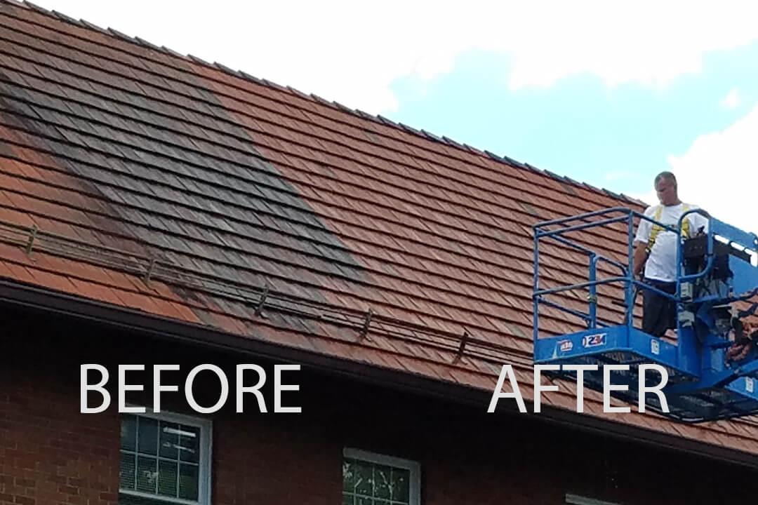 Roof Cleaning